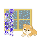 赤ちゃん豆柴 夏～秋（個別スタンプ：24）