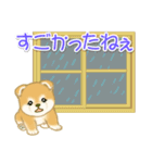 赤ちゃん豆柴 夏～秋（個別スタンプ：25）