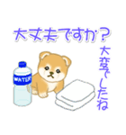 赤ちゃん豆柴 夏～秋（個別スタンプ：27）