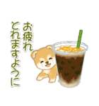 赤ちゃん豆柴 夏～秋（個別スタンプ：31）