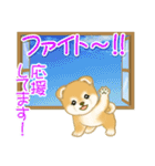 赤ちゃん豆柴 夏～秋（個別スタンプ：36）