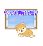 赤ちゃん豆柴 夏～秋（個別スタンプ：37）