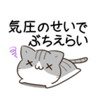 毎日五月病なねこたち 広島弁（個別スタンプ：22）