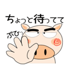毎日、ブタさん 家族編（個別スタンプ：12）
