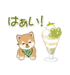 よちよち豆柴 おいしい秋（個別スタンプ：9）