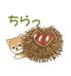 よちよち豆柴 おいしい秋（個別スタンプ：17）