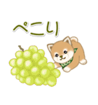 よちよち豆柴 おいしい秋（個別スタンプ：18）