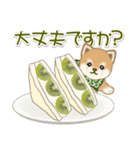 よちよち豆柴 おいしい秋（個別スタンプ：19）
