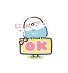 癒しのほっこりインコ＊かわいい（個別スタンプ：1）