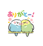 癒しのほっこりインコ＊かわいい（個別スタンプ：3）