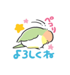 癒しのほっこりインコ＊かわいい（個別スタンプ：7）