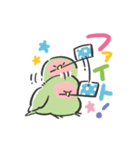 癒しのほっこりインコ＊かわいい（個別スタンプ：11）
