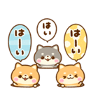 ちいさな♡豆柴日和（個別スタンプ：5）