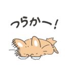 茶たろうスタンプ～福岡県～（個別スタンプ：17）