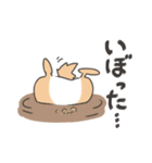 茶たろうスタンプ～福岡県～（個別スタンプ：38）