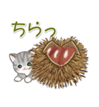 まんまるチビ猫 おいしい秋（個別スタンプ：17）