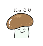 やさしいたけ（個別スタンプ：9）
