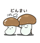 やさしいたけ（個別スタンプ：16）