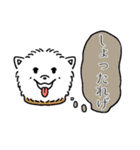 素晴らしい新潟弁（個別スタンプ：25）