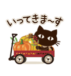 【ナチュラル丁寧語】大人の黒ねこ（個別スタンプ：17）