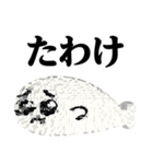 ぴえんMAX-アザラシ♥武士語スタンプ（個別スタンプ：9）