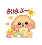 かわいいトイプードル❤️秋（個別スタンプ：1）