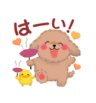 かわいいトイプードル❤️秋（個別スタンプ：3）