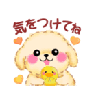 かわいいトイプードル❤️秋（個別スタンプ：32）