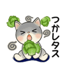 ラブリー猫さん ♡ ダジャレ編（個別スタンプ：27）