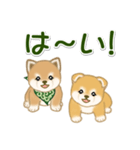 よちよち豆柴兄弟 大きなお返事（個別スタンプ：3）