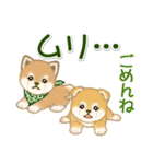 よちよち豆柴兄弟 大きなお返事（個別スタンプ：7）