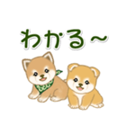 よちよち豆柴兄弟 大きなお返事（個別スタンプ：14）