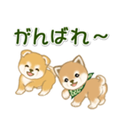 よちよち豆柴兄弟 大きなお返事（個別スタンプ：16）