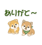 よちよち豆柴兄弟 大きなお返事（個別スタンプ：19）