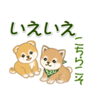 よちよち豆柴兄弟 大きなお返事（個別スタンプ：20）