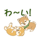 よちよち豆柴兄弟 大きなお返事（個別スタンプ：21）