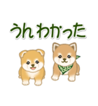 よちよち豆柴兄弟 大きなお返事（個別スタンプ：22）