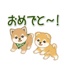 よちよち豆柴兄弟 大きなお返事（個別スタンプ：23）