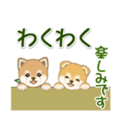 よちよち豆柴兄弟 大きなお返事（個別スタンプ：24）