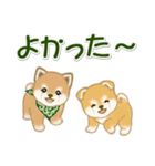よちよち豆柴兄弟 大きなお返事（個別スタンプ：25）