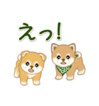 よちよち豆柴兄弟 大きなお返事（個別スタンプ：27）