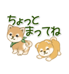 よちよち豆柴兄弟 大きなお返事（個別スタンプ：31）