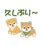 よちよち豆柴兄弟 大きなお返事（個別スタンプ：35）