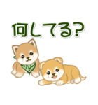 よちよち豆柴兄弟 大きなお返事（個別スタンプ：36）