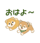 よちよち豆柴兄弟 大きなお返事（個別スタンプ：37）