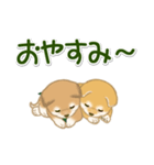 よちよち豆柴兄弟 大きなお返事（個別スタンプ：38）