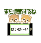 よちよち豆柴兄弟 大きなお返事（個別スタンプ：40）