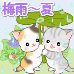 [LINEスタンプ] 梅雨～夏 ベビーにゃんこ