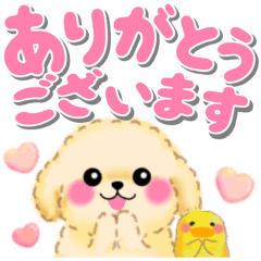 [LINEスタンプ] かわいいトイプードル「でか文字」