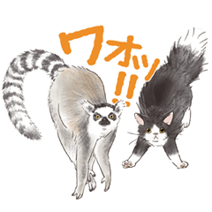 [LINEスタンプ] ゆかいな猫とどうぶつたちのスタンプ